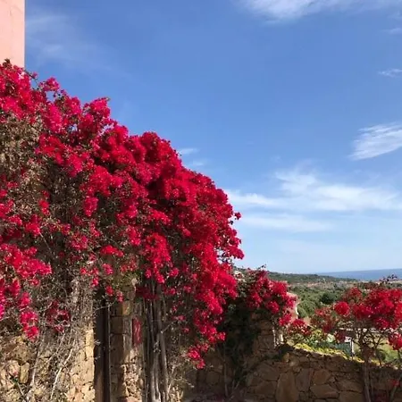 Lägenhet Rita's House, Sea View Sul Mare Di Ottiolu